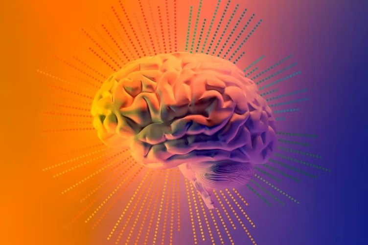 5 типов мозга: Как наш мозг влияет на то, насколько мы счастливы